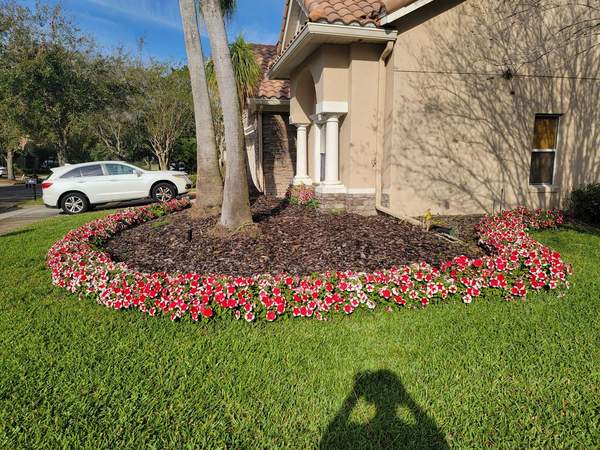 Flower bed with red and white impatiens