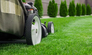 Lawn Fertilization