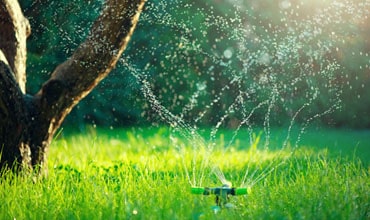 Irrigation & Drainage
