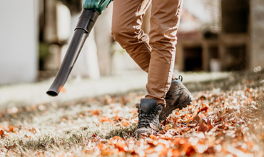 Spring Cleanup