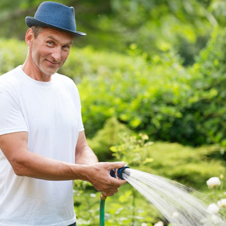Gardening & Lawn